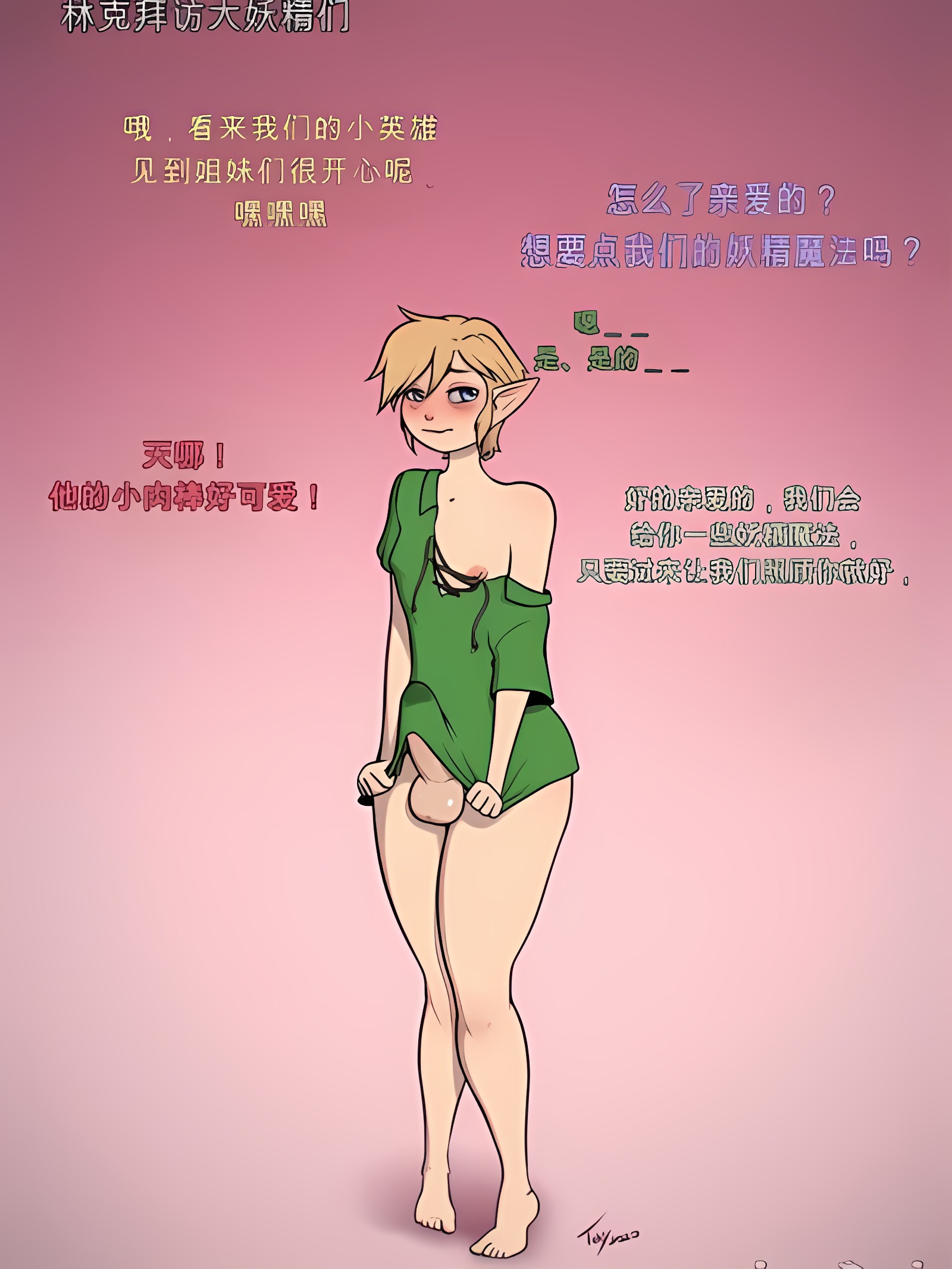 林克造访大妖精